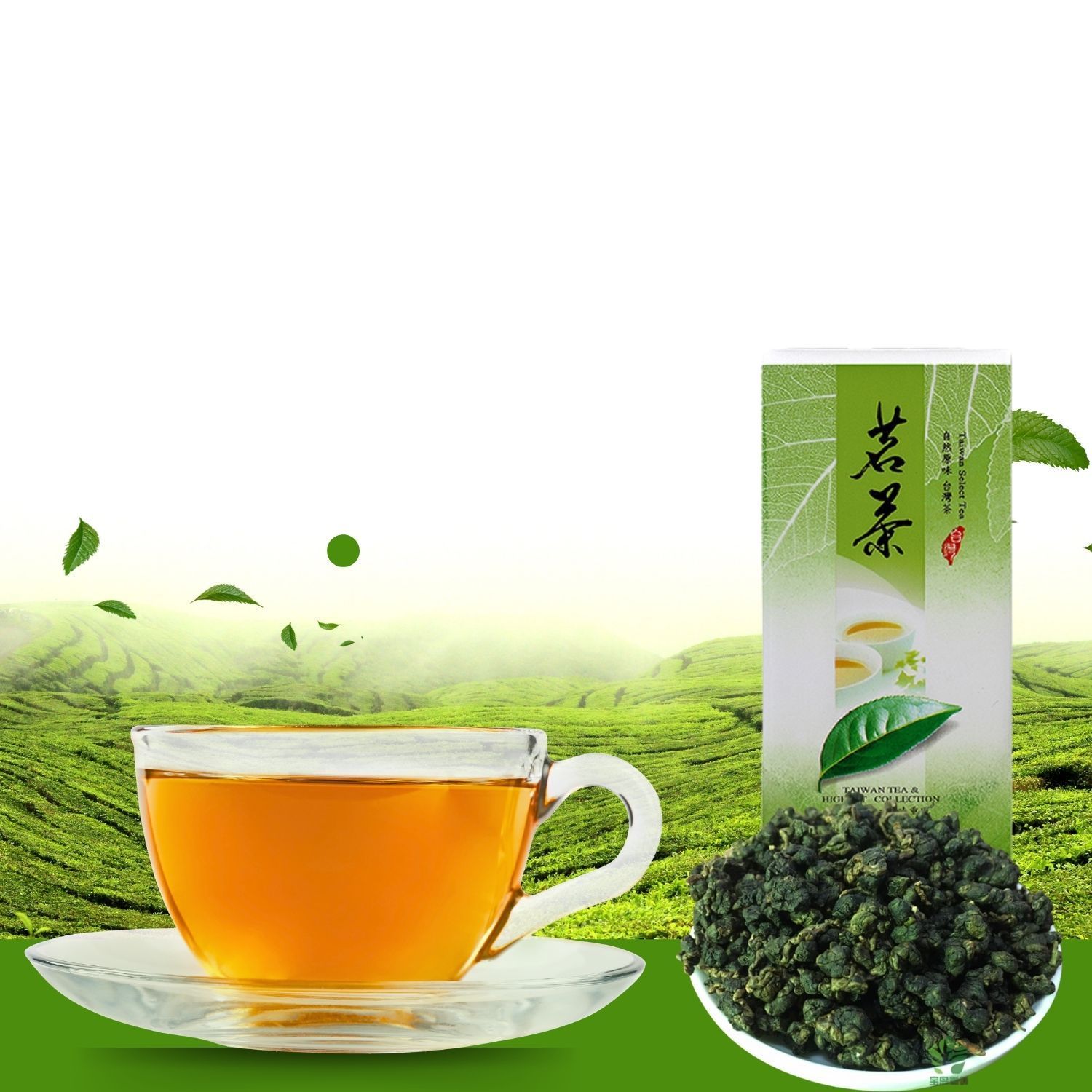 在綠意盎然的茶園前，手捧一杯茶，面前擺放著一盒茶葉和一些茶葉。