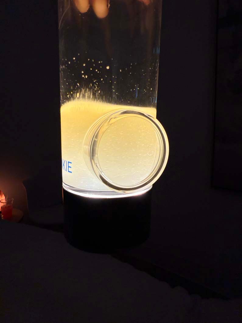 Glass container with illuminated yellow liquid, a petri dish holding a similar substance.