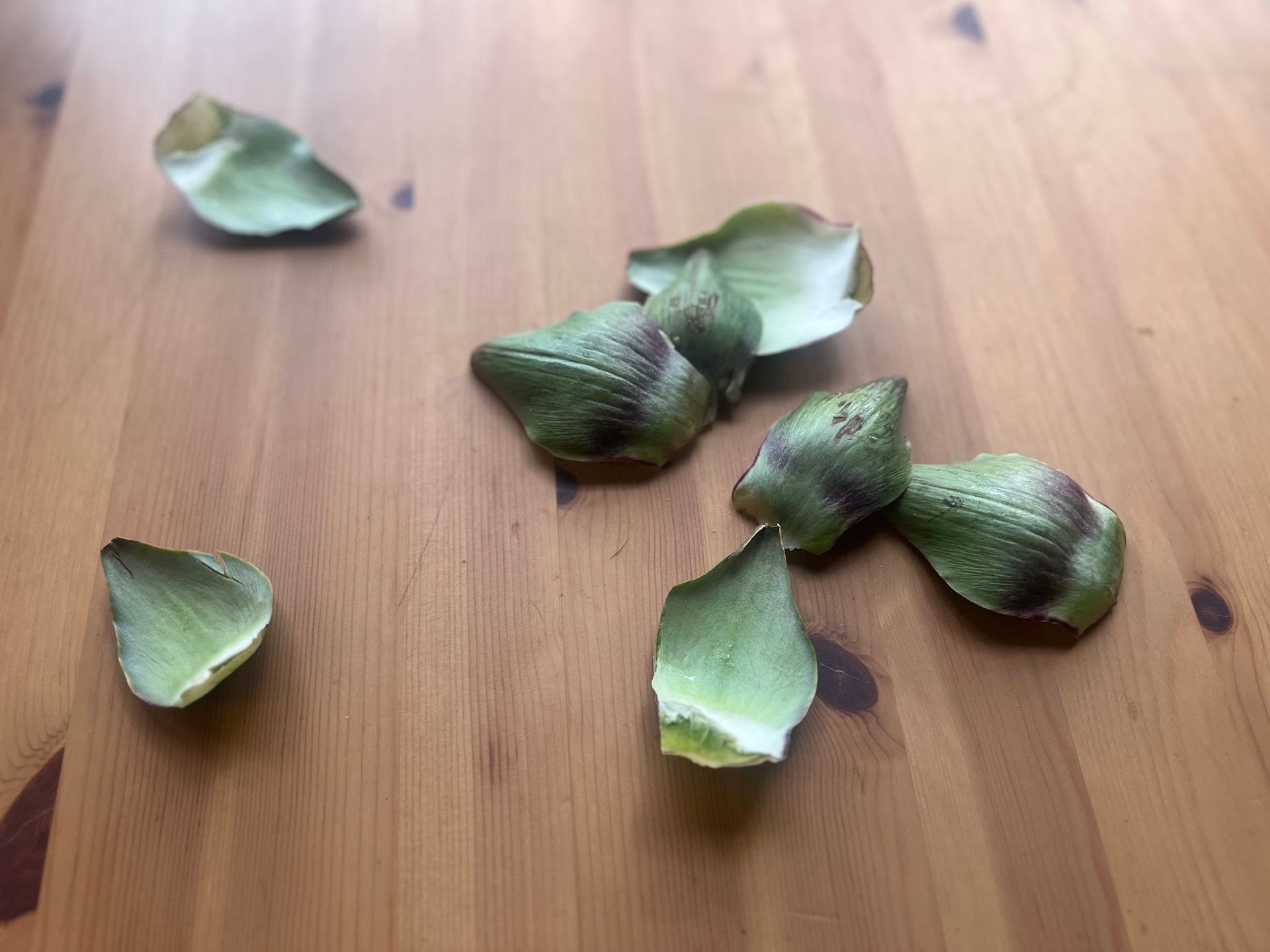 image of artichoke petals representing the process of peeling layers back until you get to the core of your brand 
