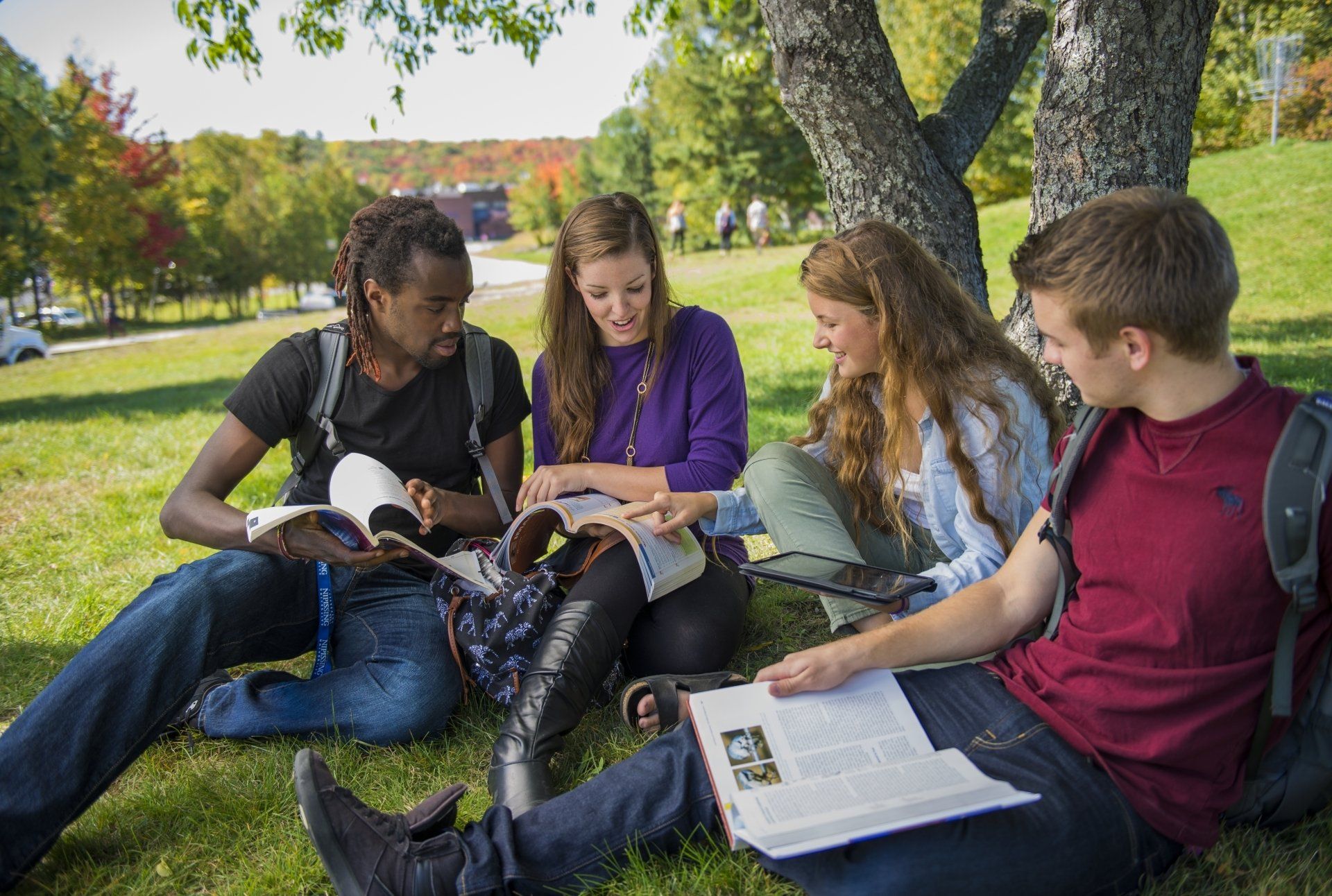 Students with open textbooks sitting beneath a tree on campus