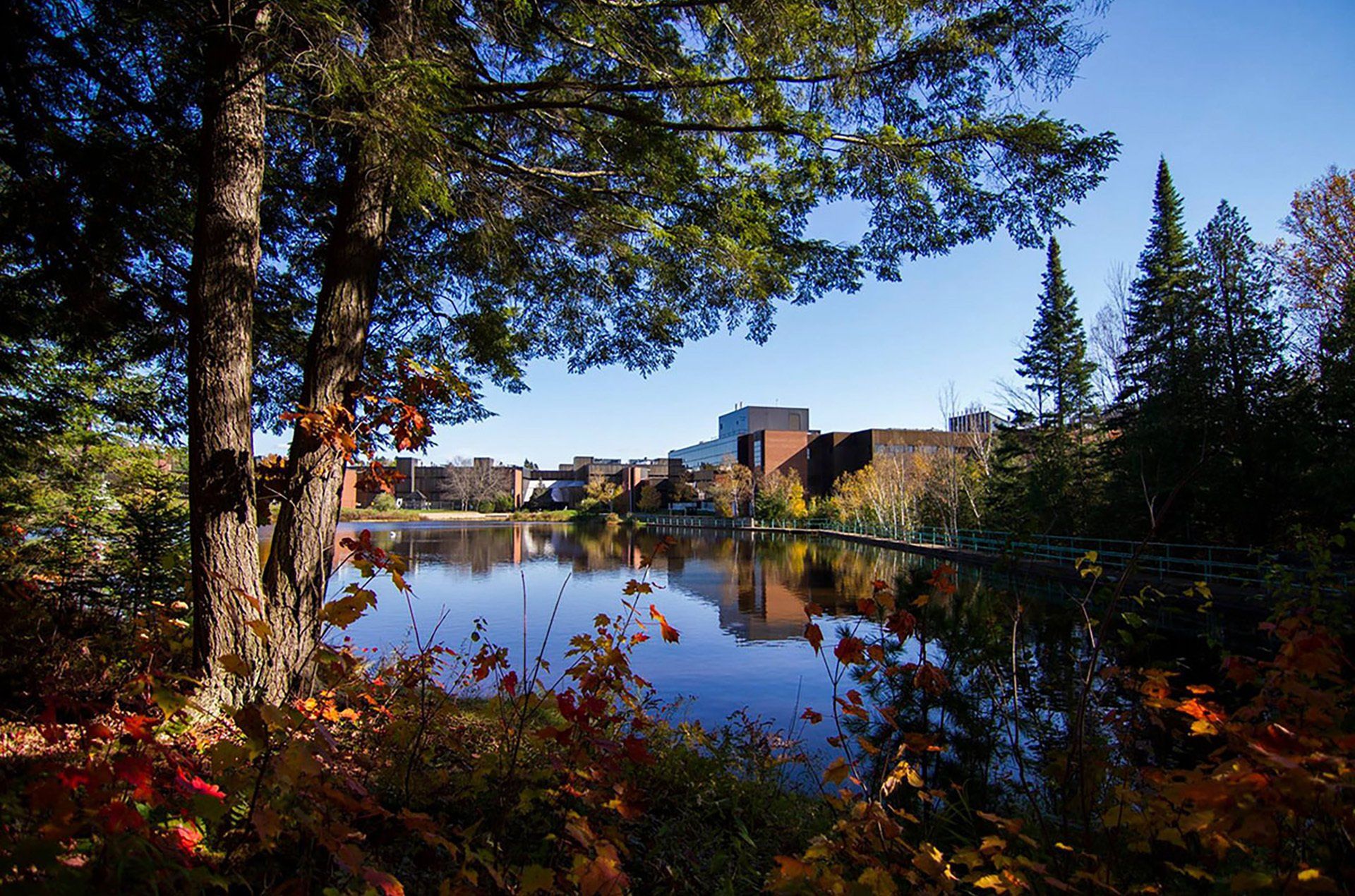 A lake surrounded by trees on a sunny day