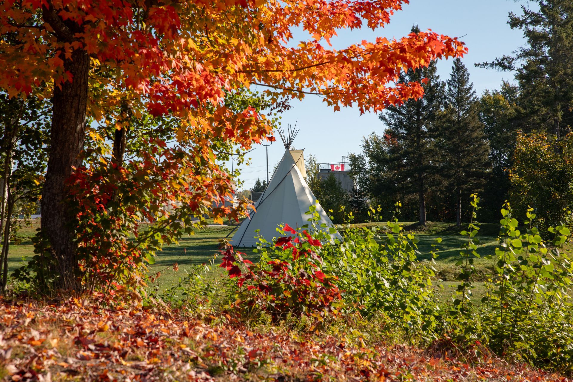 Fall view of the tipi on campus
