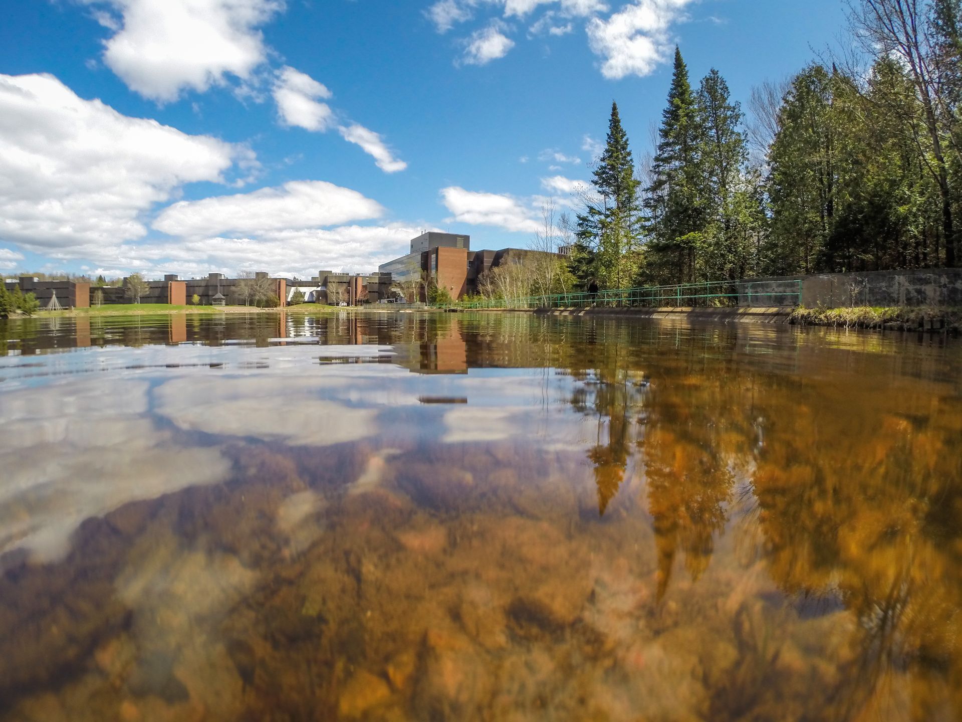 A large body of water surrounded by trees and buildings on a sunny day.