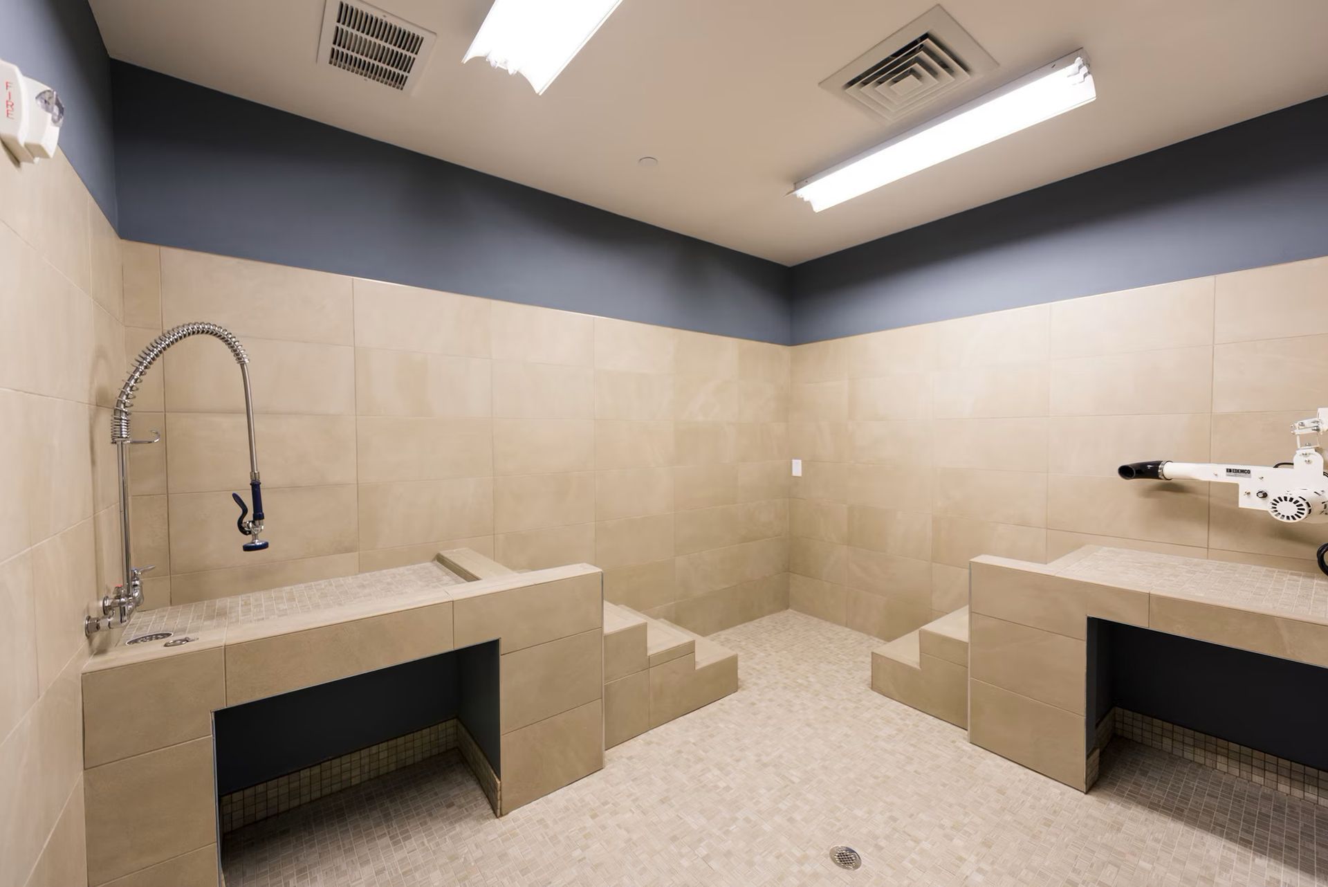 Dog wash room with two raised tubs and faucet. Beige tile walls, blue upper trim.