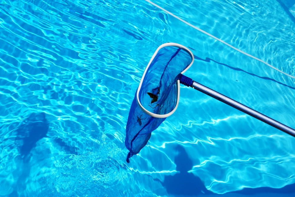 A Blue Net is Being Used to Clean a Swimming Pool — Poolside Noosa in Noosaville, QLD