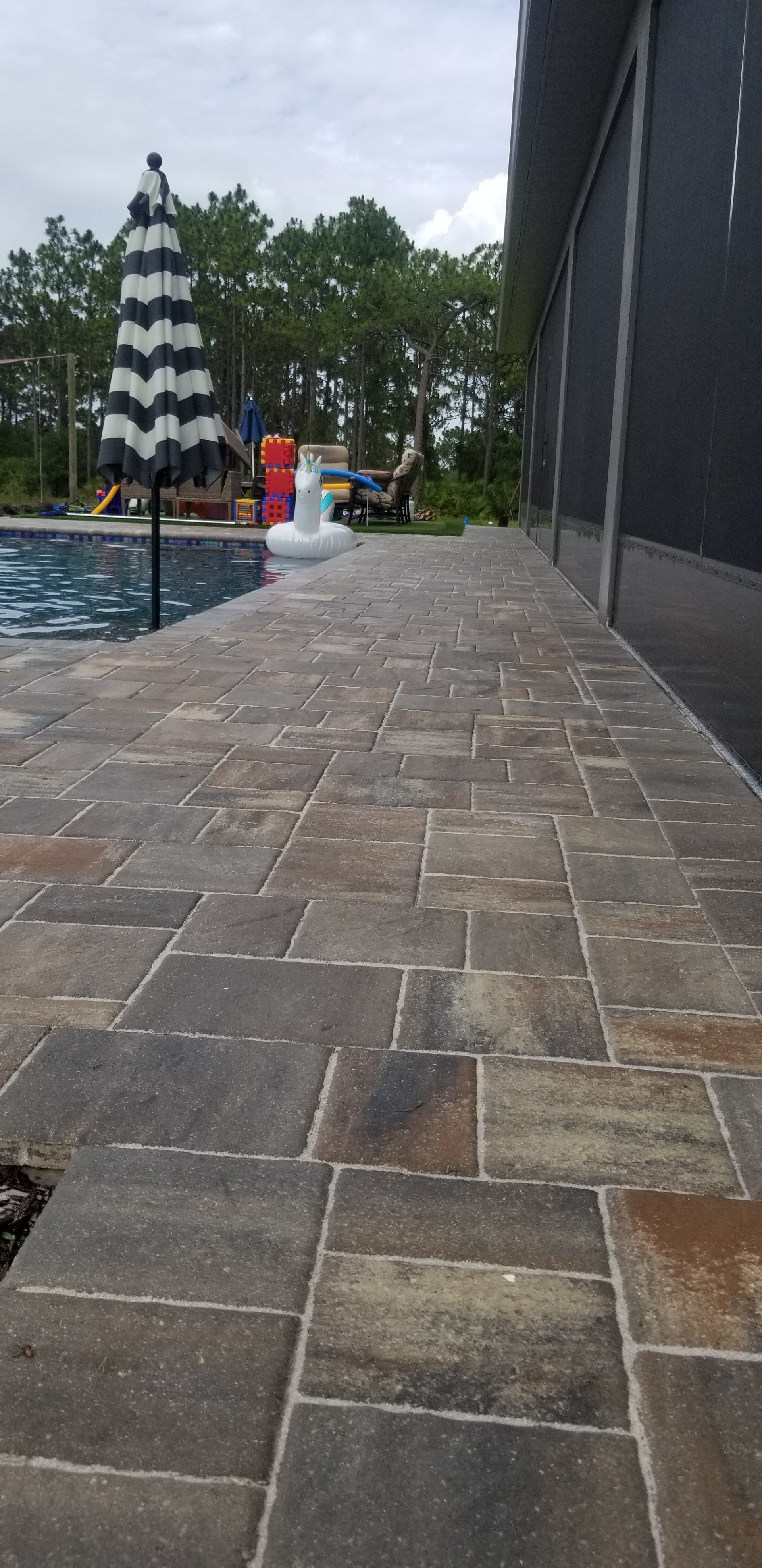 Dirty Bricks Beside Pool — Myakka City, FL — Southwest Florida Pressure Washing