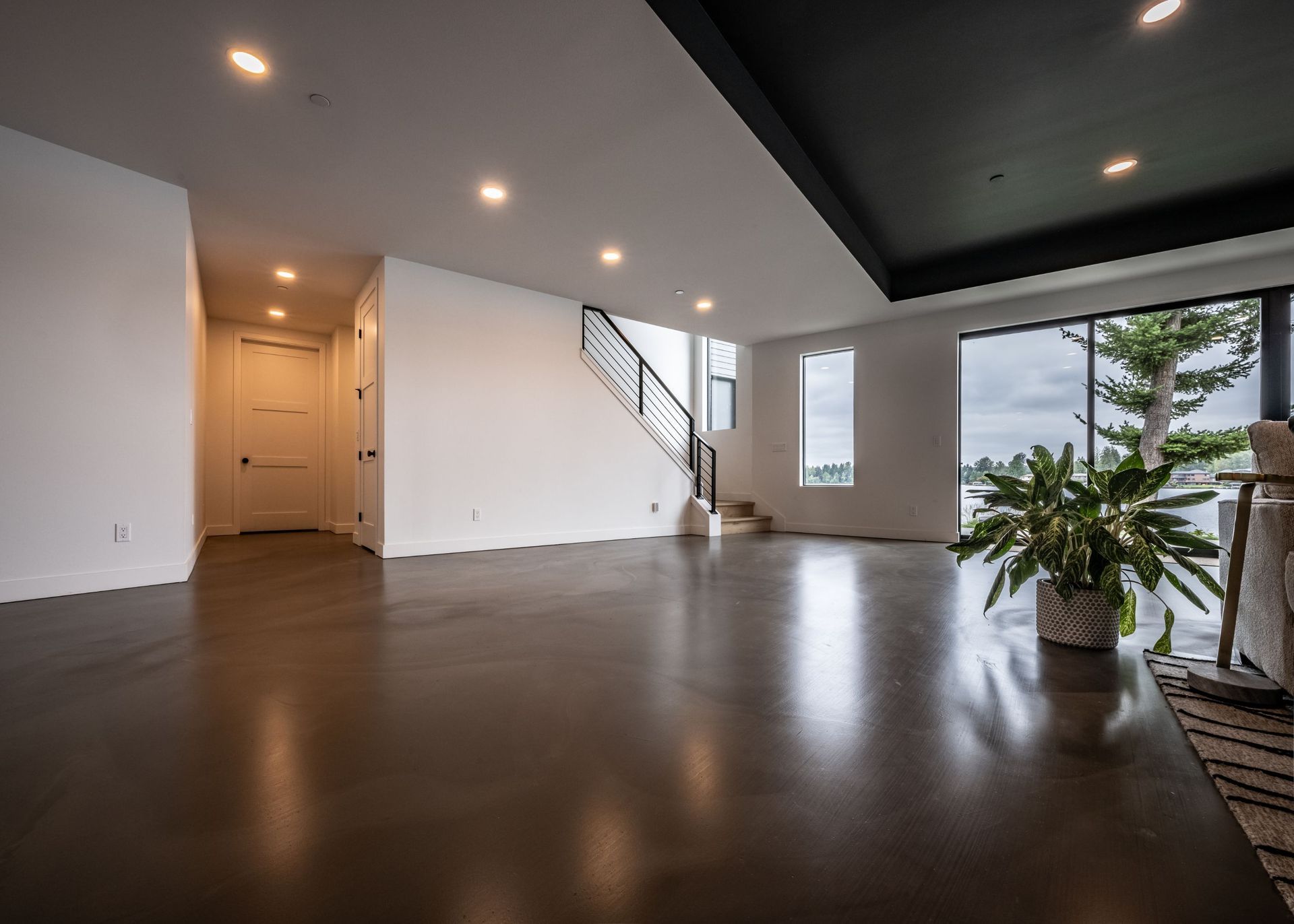 There is a plant in the middle of the room.