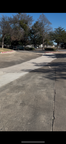 Asphalt parking lot with trees in the background under a blue sky.