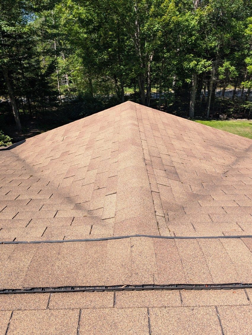 Brown shingle roof with dark streaks and a treeline in the background.