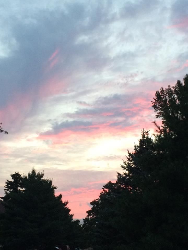 a sunset with pink clouds and trees in the foreground