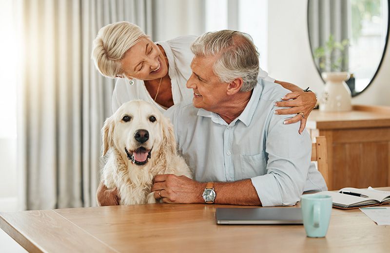 an elderly couple sitting at a table with a dog