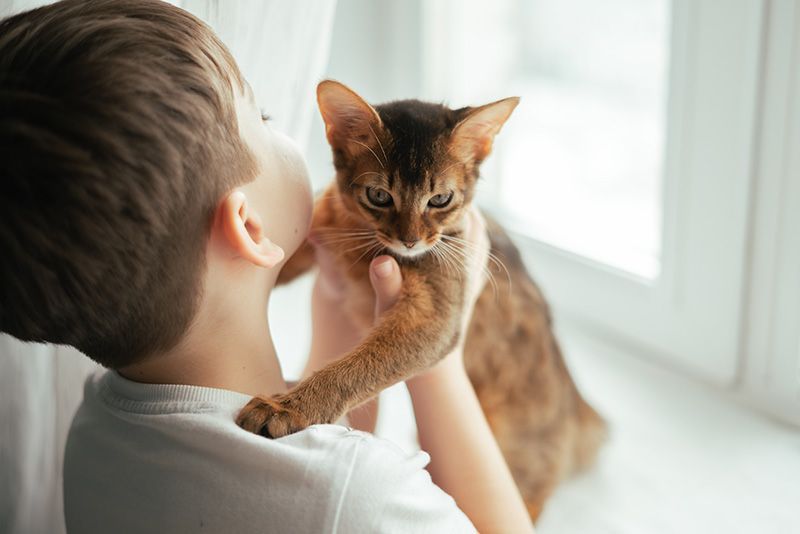 a young boy is holding a cat in his arms
