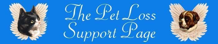 a cat and a dog with angel wings on a blue background for the pet loss support page.