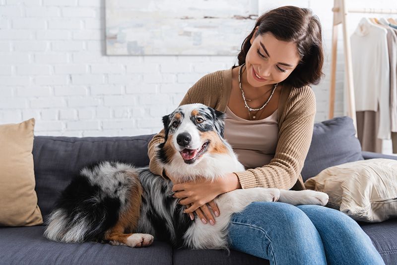 a woman is sitting on a couch petting a dog