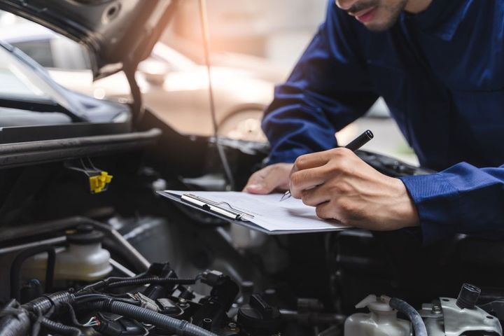 Car inspection by expert