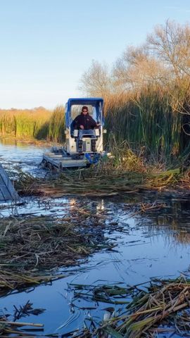 Native pond weed removal Port Perry | Native lake weed removal Port Perry