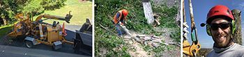 A man is cutting a tree with a chainsaw.