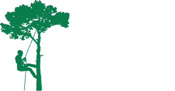 Elevated Tree Care Logo - Man climbing tree with rope icon