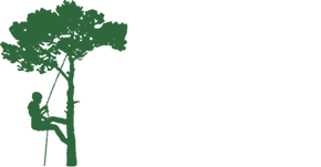 Elevated Tree Care Logo - Man climbing tree with rope icon