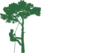 Elevated Tree Care Logo - Man climbing tree with rope icon