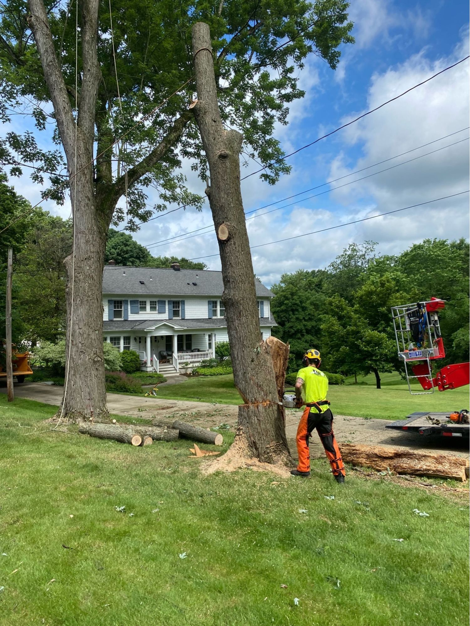 A man is cutting down a tree in front of a house.