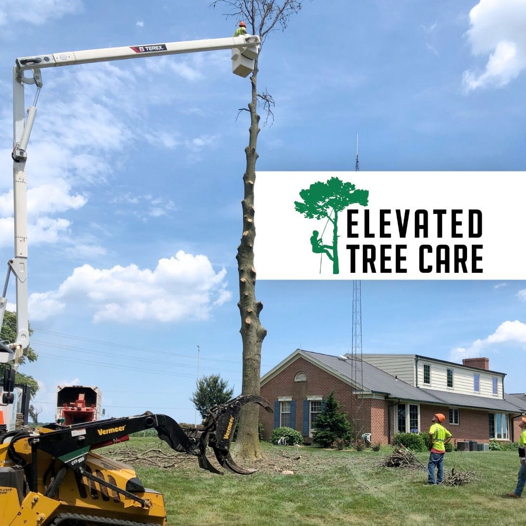 A logo for elevated tree care with a tree being cut down