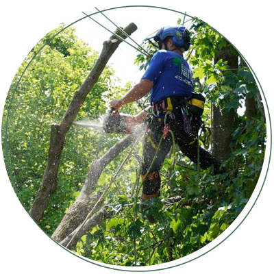 A man is cutting a tree branch with a chainsaw