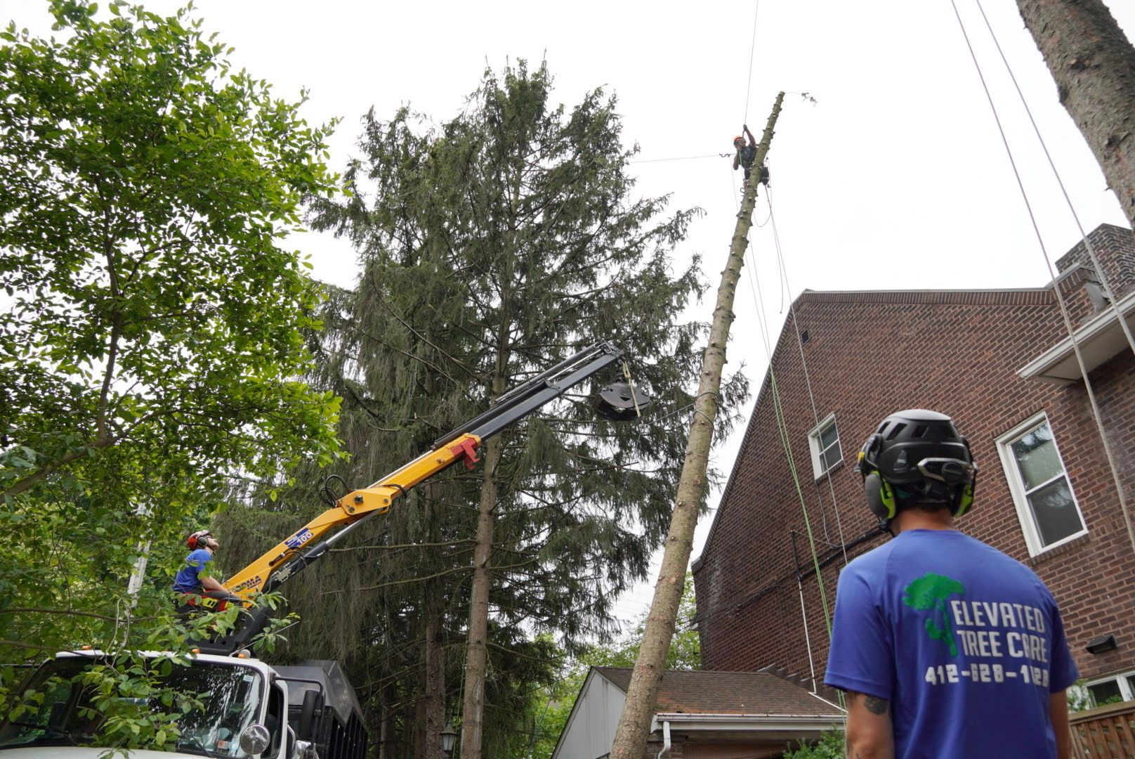 A man in a blue shirt is standing in front of a crane cutting a tree.