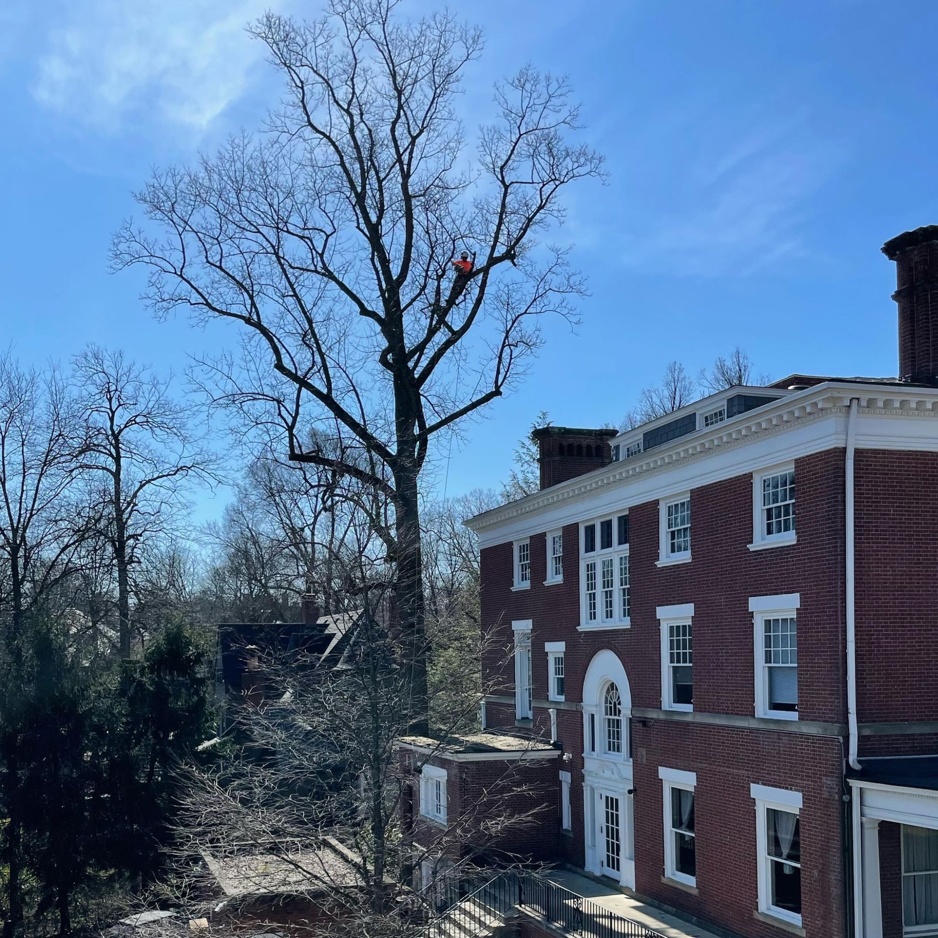 A large brick building with a tree in front of it