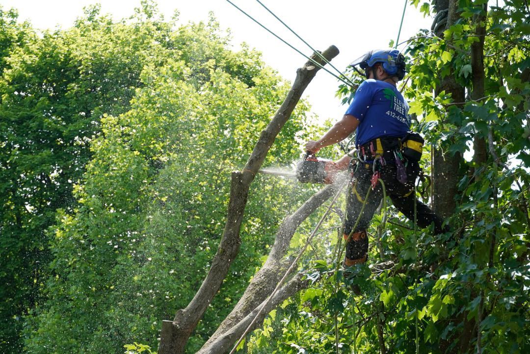 A man is cutting a tree branch with a chainsaw.