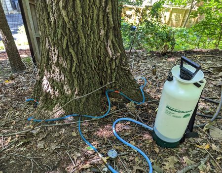 A spray bottle is sitting next to a tree in the woods.