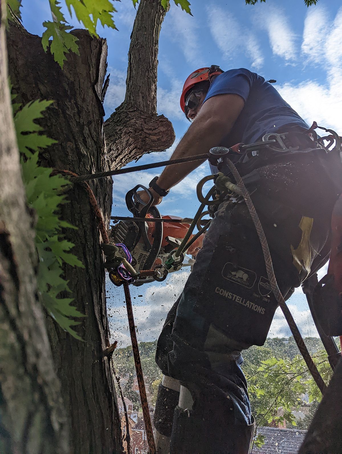 A man is cutting a tree with a chainsaw