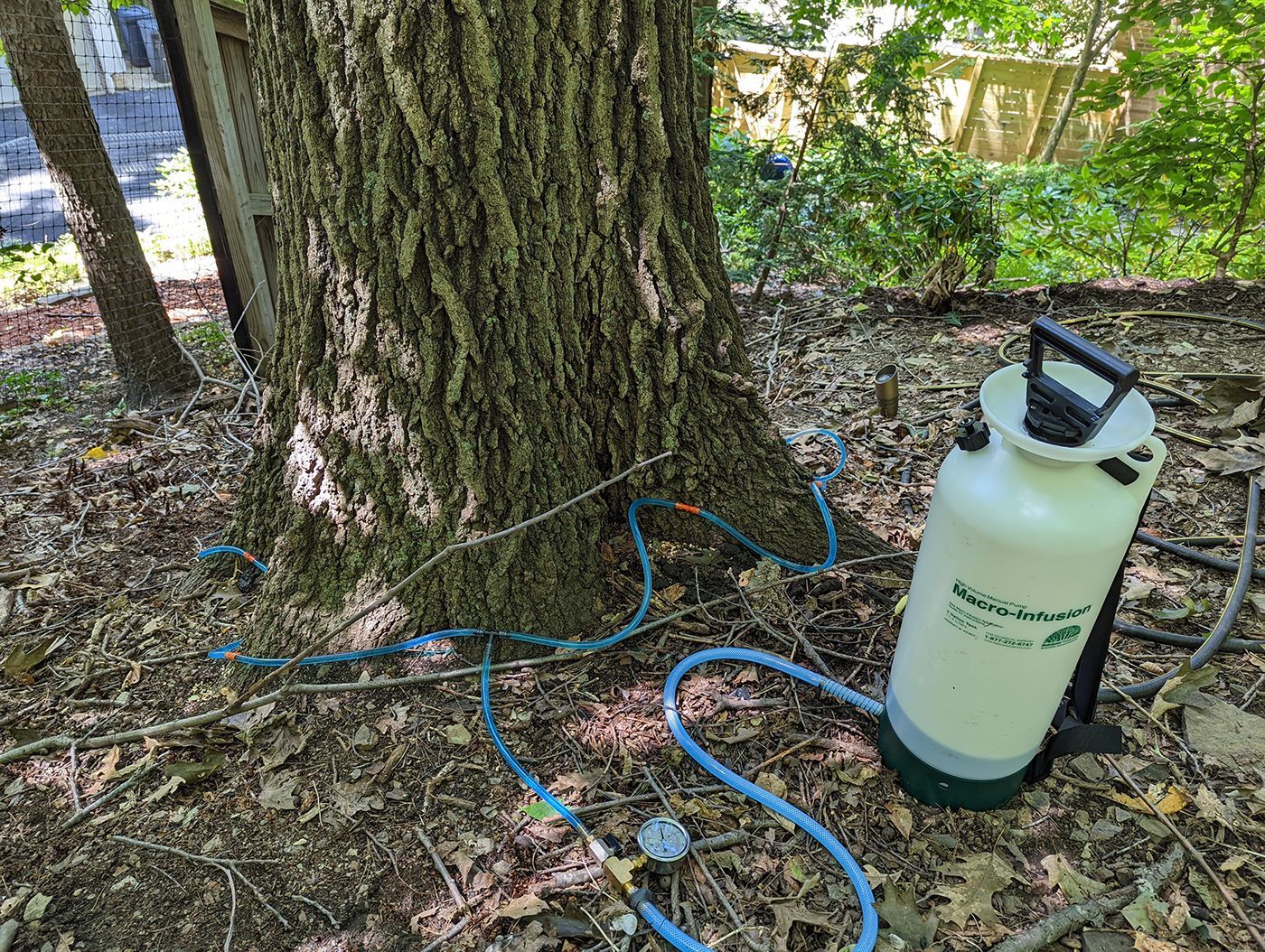 A spray bottle is sitting on the ground next to a tree