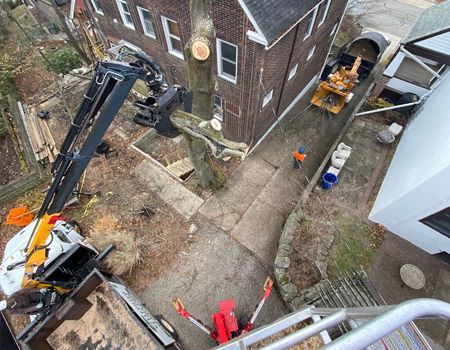 An aerial view of a tree being cut down in front of a building.