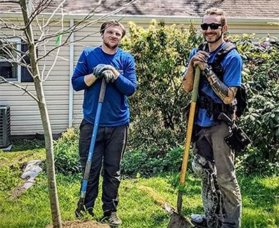 Two men planting a tree in a yard. One holds a shovel, the other a spade.