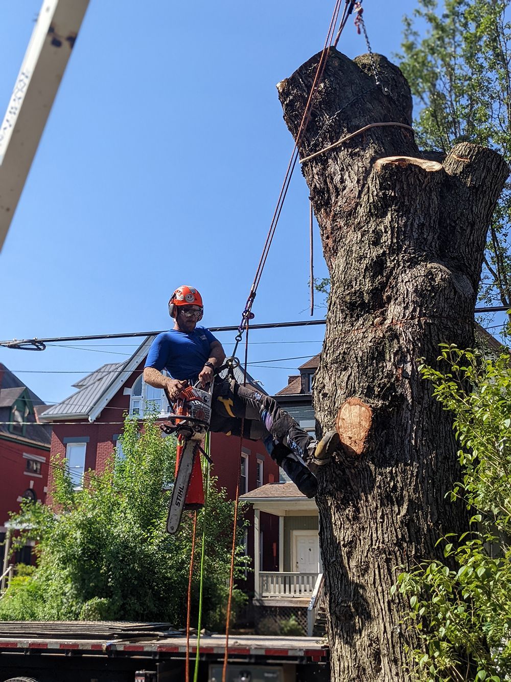 A man is cutting down a tree with a chainsaw