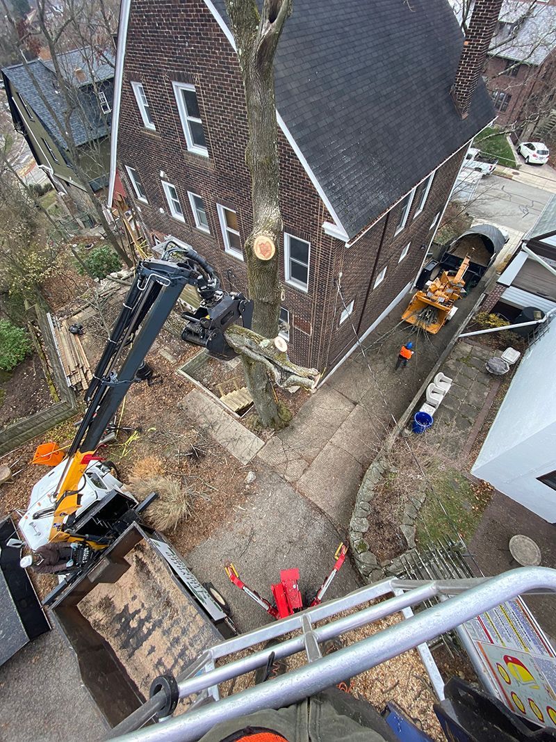 An aerial view of a tree being cut down in front of a house