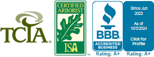 The logos for tcia isa and bbb are shown