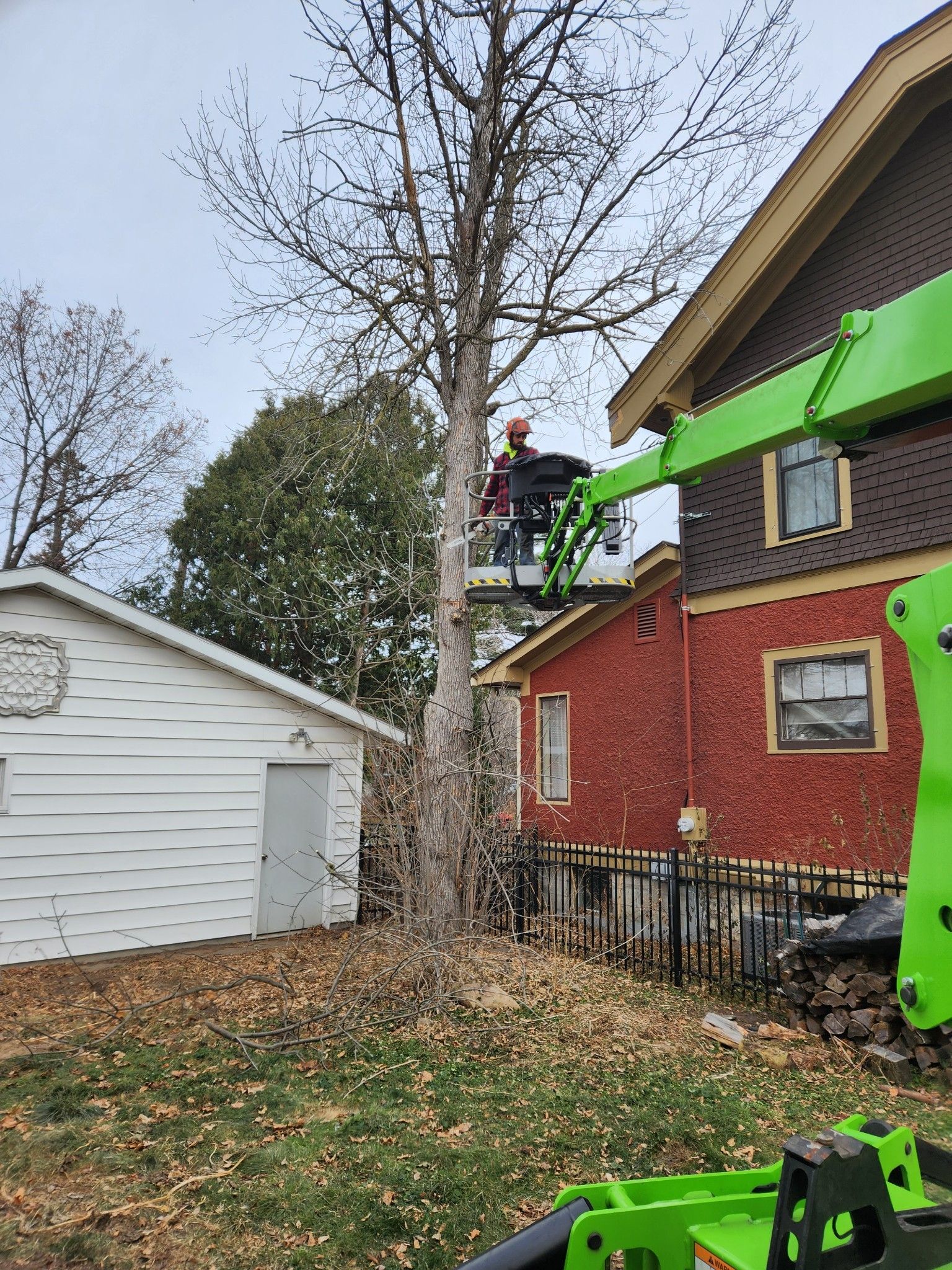 Handrich Tree Service LLC | Tree Services | Tree Trimming | Tree ...