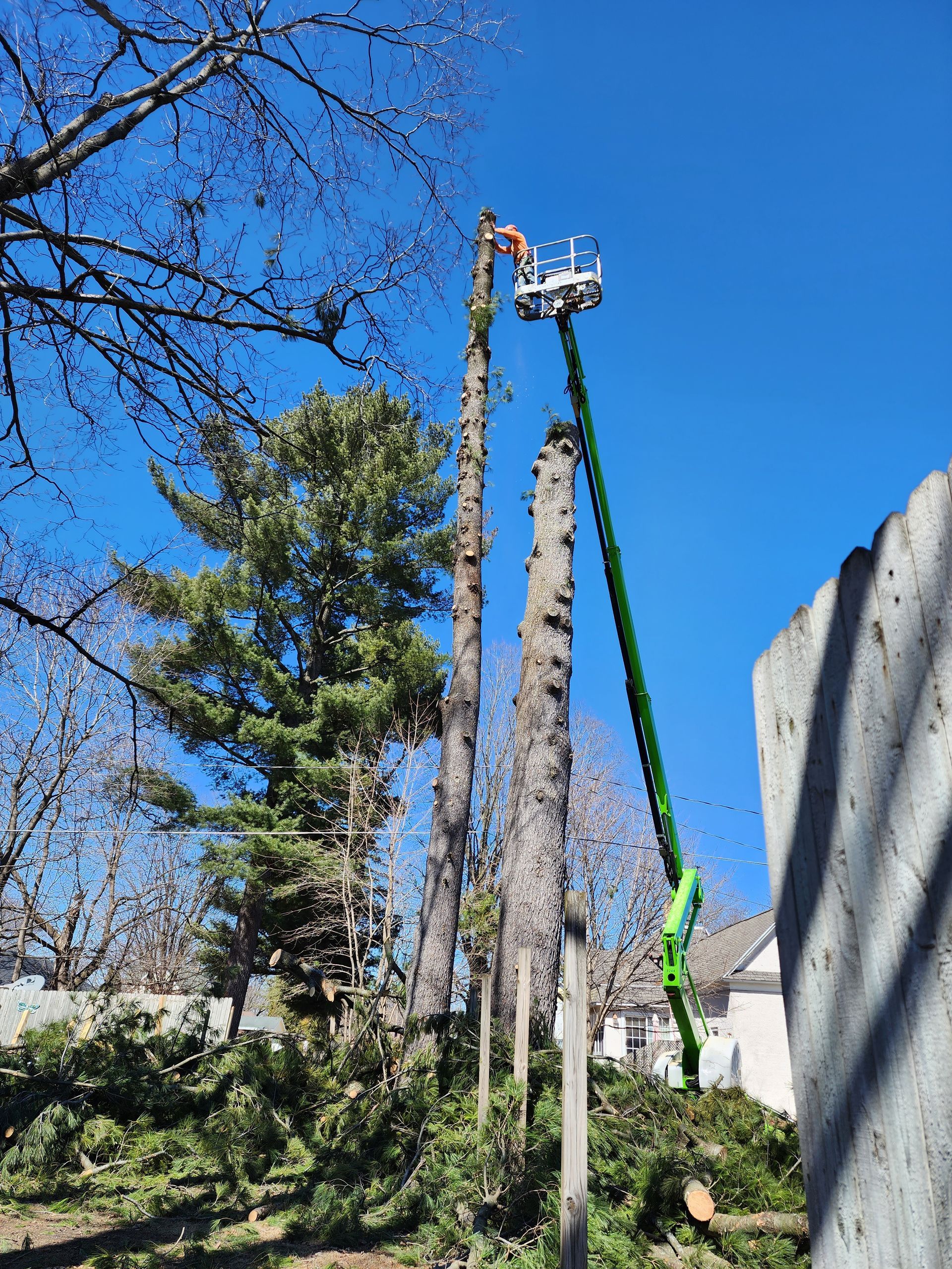 Handrich Tree Service LLC Tree Services Tree Trimming Tree