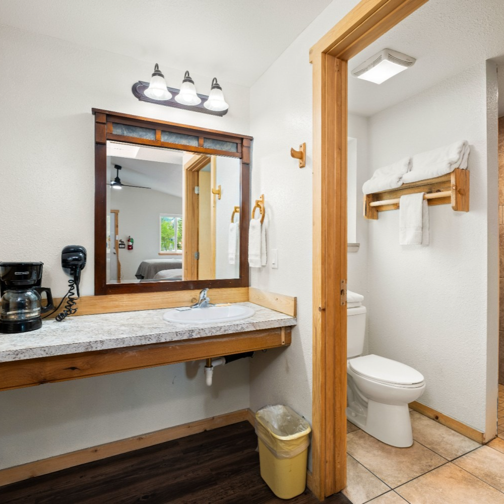 A bathroom with a sink , toilet and mirror