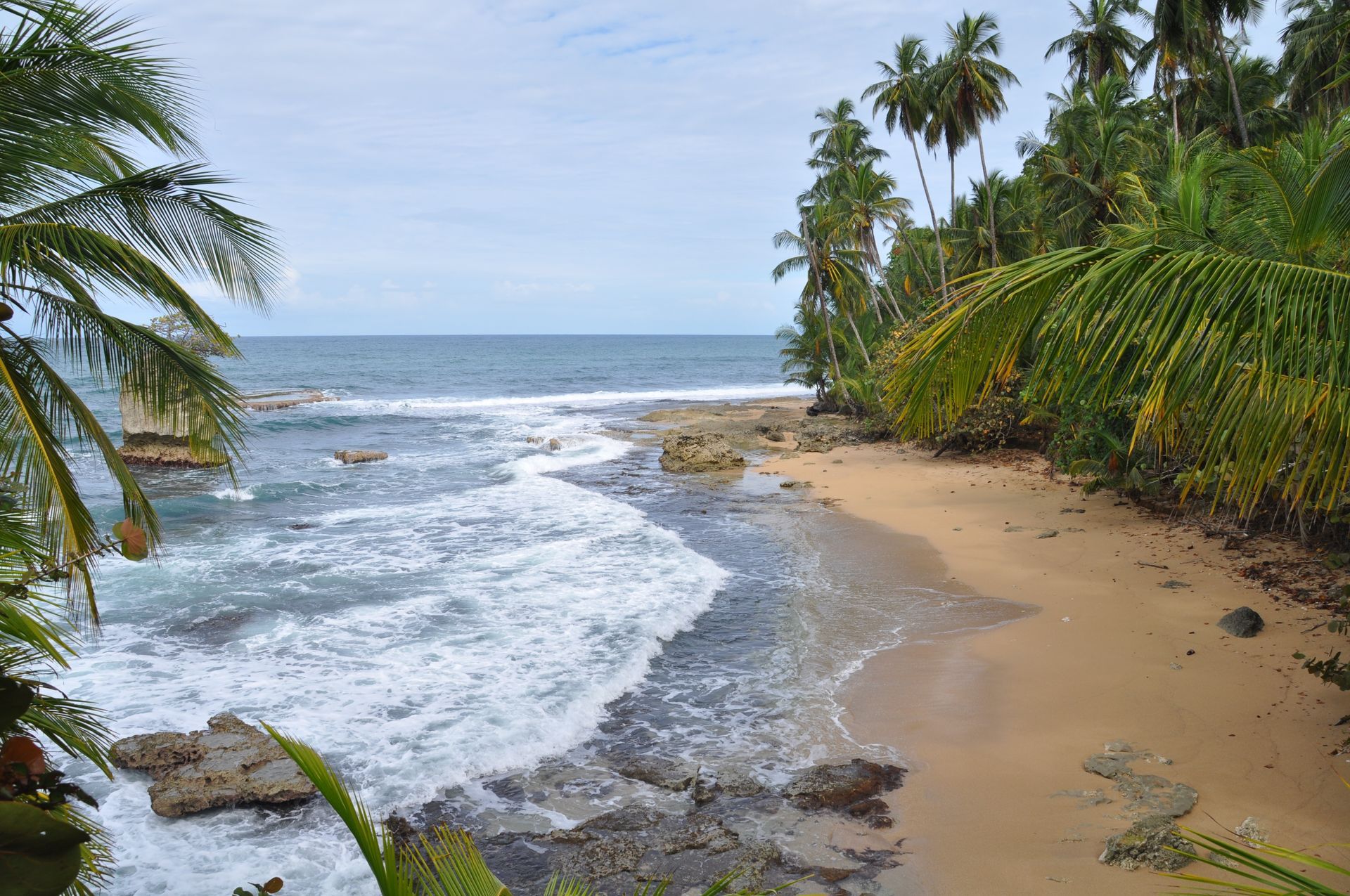 Beach scene with waves crashing on rocks and sand, surrounded by palm trees and foliage.