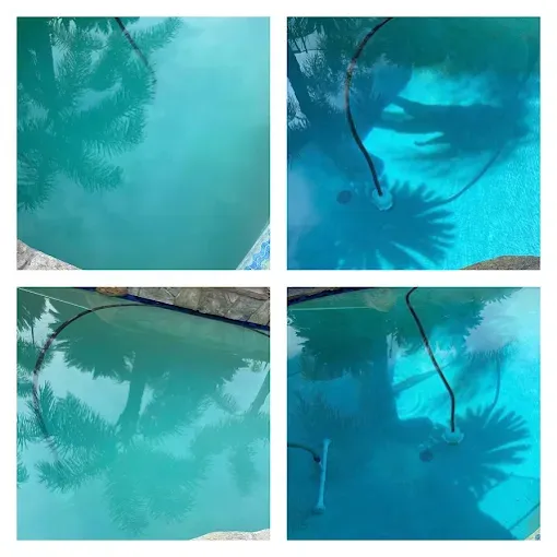 Four views of a turquoise swimming pool with palm tree reflections and a hose floating in the water.