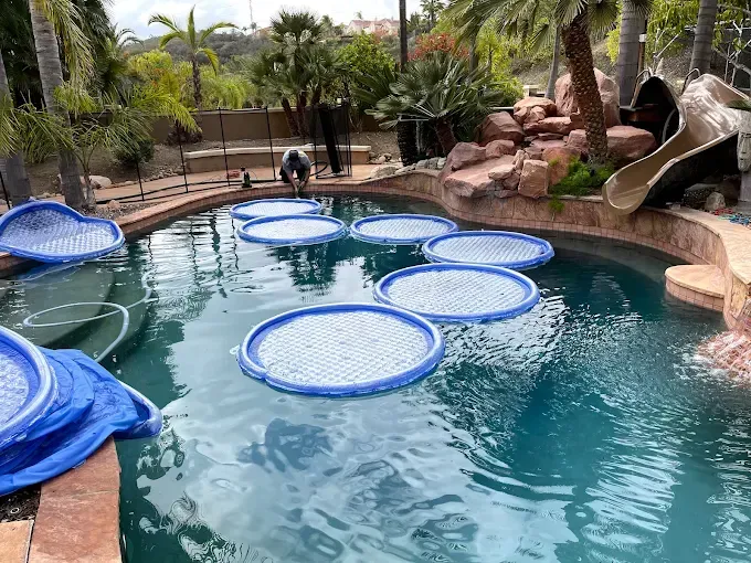 Backyard pool with blue floating pads and a rock slide, surrounded by tropical plants