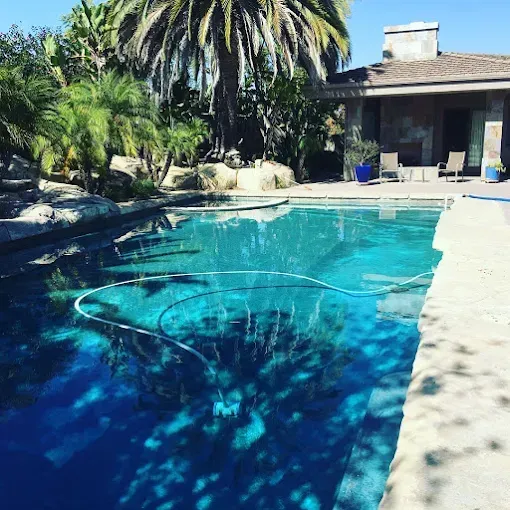 Backyard swimming pool with palm trees and a house in bright sunlight
