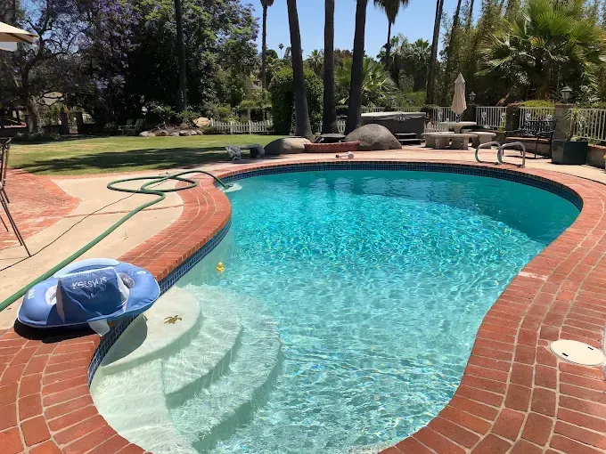 Curved backyard swimming pool with red brick deck, lounge chairs, and palm trees in the background