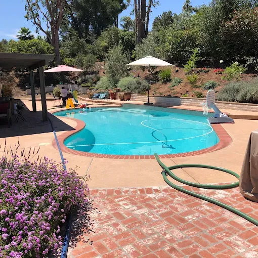Backyard swimming pool with turquoise water, patio, umbrellas, and a garden hose on brick paving.