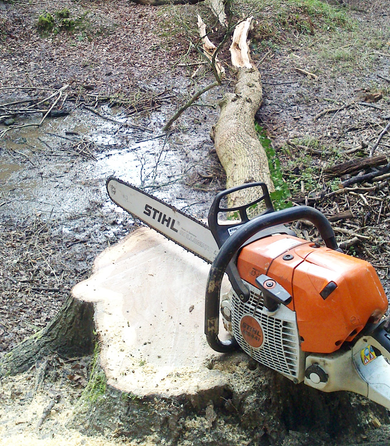 A man in protective goggles carrying out stump grinding