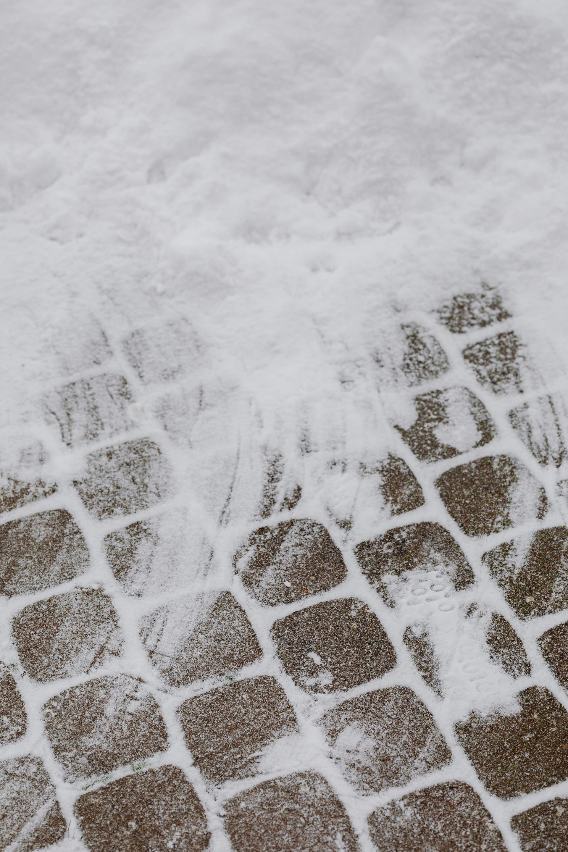 Snow-covered brick pathway; the top is entirely snow-covered, with some snow melting or cleared from the bricks.