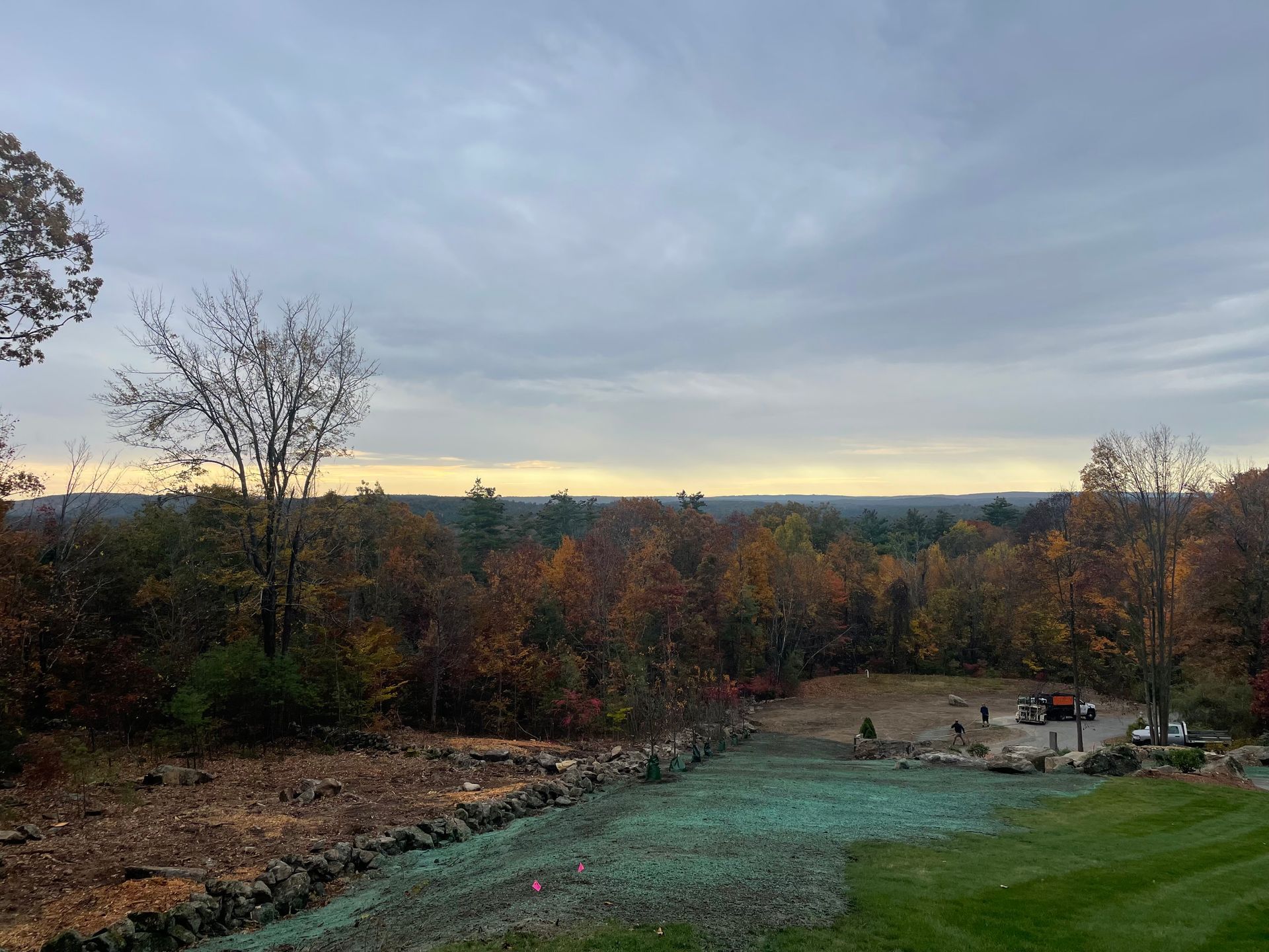 Overcast view of autumnal trees, with a partially seeded lawn in the foreground.